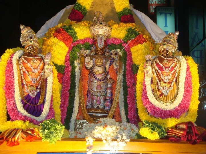 Elegant Balaji Idol 11